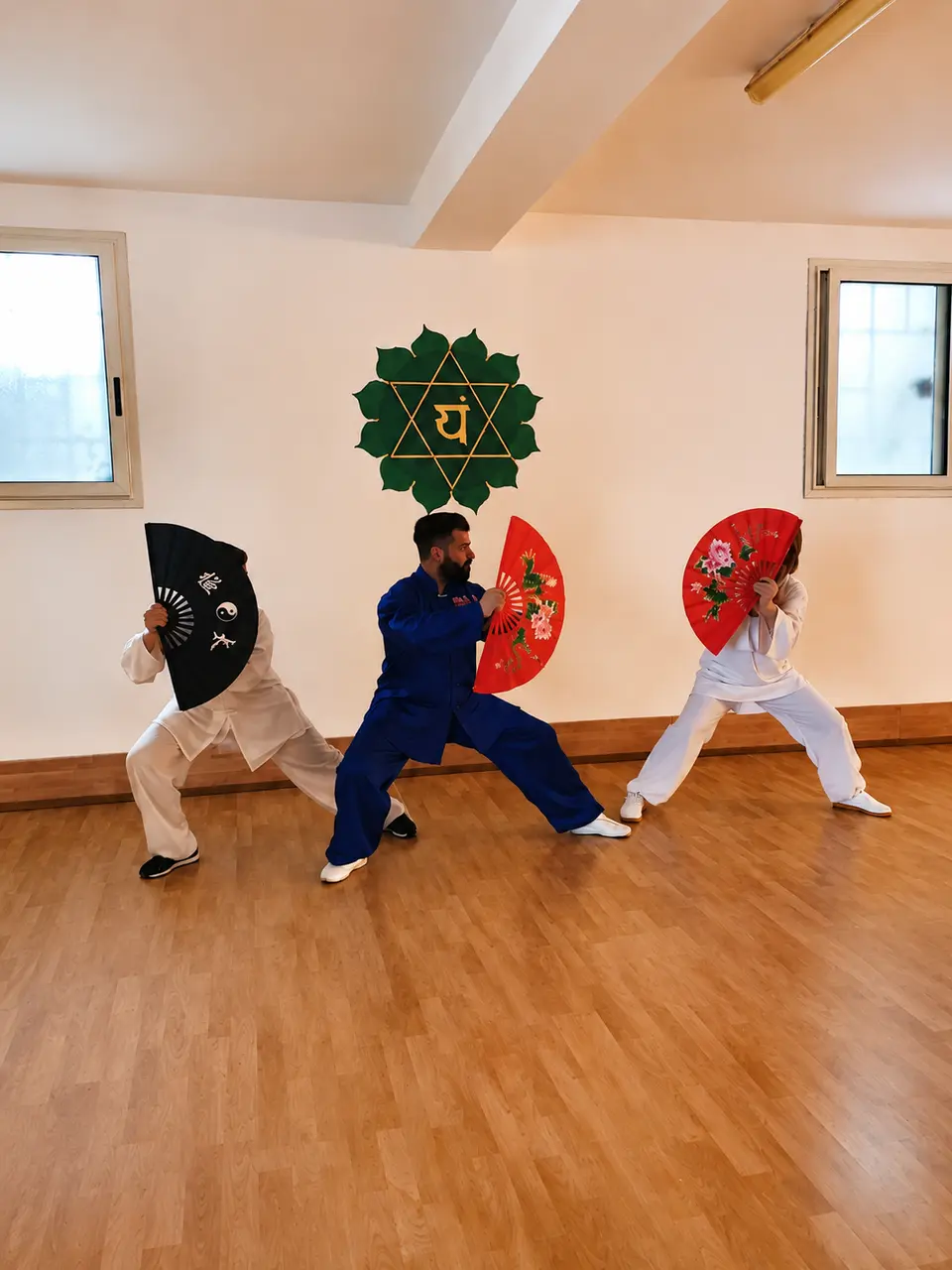 Immagine di Pratica di TAIJI QUAN con ventagli